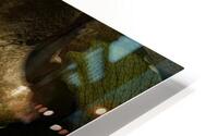 ABS 00070 HD Metal print