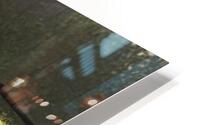 ANI 00107 HD Metal print