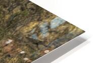 ANI 00113 HD Metal print