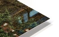 ANI 00092 HD Metal print