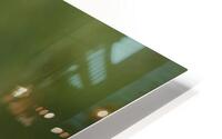 ANI 00093 HD Metal print