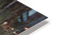 ANI 00117 HD Metal print