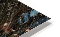 ANI 00122 HD Metal print