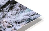 ANI 00140 HD Metal print