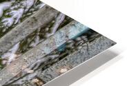 ANI 00146 HD Metal print