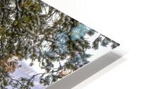 ANI 00150 HD Metal print