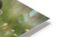 ANI 00134 HD Metal print