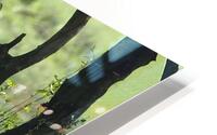 ANI 00167 Impression metal HD