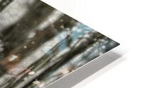 ANI 00152 HD Metal print
