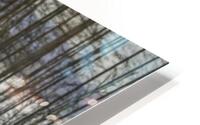 ANI 00157 HD Metal print