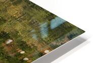 ANI 00177 HD Metal print
