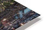 ANI 00166 HD Metal print