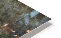 ANI *00204 HD Metal print