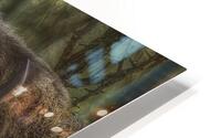 ANI 00208 HD Metal print