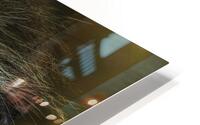 ANI 00205 HD Metal print
