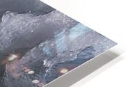BIR 00239 HD Metal print