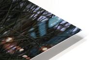 BIR 00221 HD Metal print