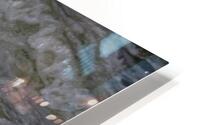 BIR 00214 HD Metal print