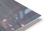 BIR 00236 HD Metal print