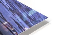 BIR 00264 HD Metal print