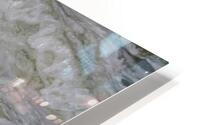 BIR 00257 HD Metal print