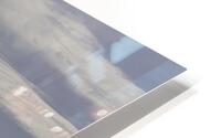 BIR 00247 HD Metal print