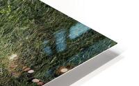 BIR 00307 HD Metal print