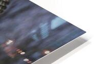 BIR 00296 HD Metal print