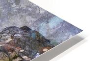 BIR 00291 HD Metal print