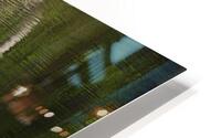 BIR 00323 HD Metal print