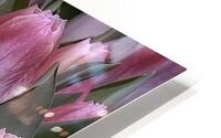FLO 00494 HD Metal print