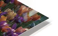 FLO 00519 HD Metal print