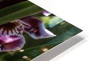 FLO 00547 HD Metal print