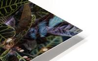 FLO 00508 HD Metal print