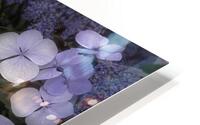 FLO 00553 HD Metal print