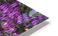 FLO 00558 HD Metal print