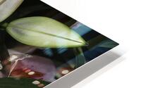 FLO 00604 HD Metal print