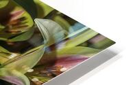 FLO 00603 HD Metal print