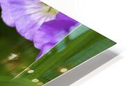 FLO 00581 HD Metal print