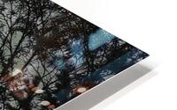 LAN 00691 HD Metal print
