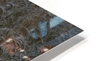 LAN 00797 HD Metal print