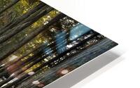 LAN 00802 HD Metal print