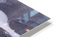 LAN 00811 HD Metal print