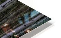 LAN 00911 HD Metal print