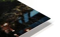 LAN 00985 HD Metal print