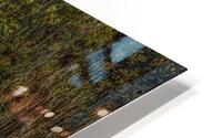 MIS 00995 HD Metal print