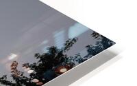 MIS 01002 HD Metal print