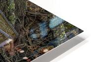 MIS 01108 HD Metal print