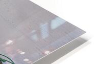 MIS 01100 HD Metal print
