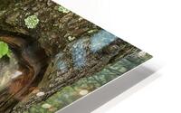 MIS 01147 HD Metal print